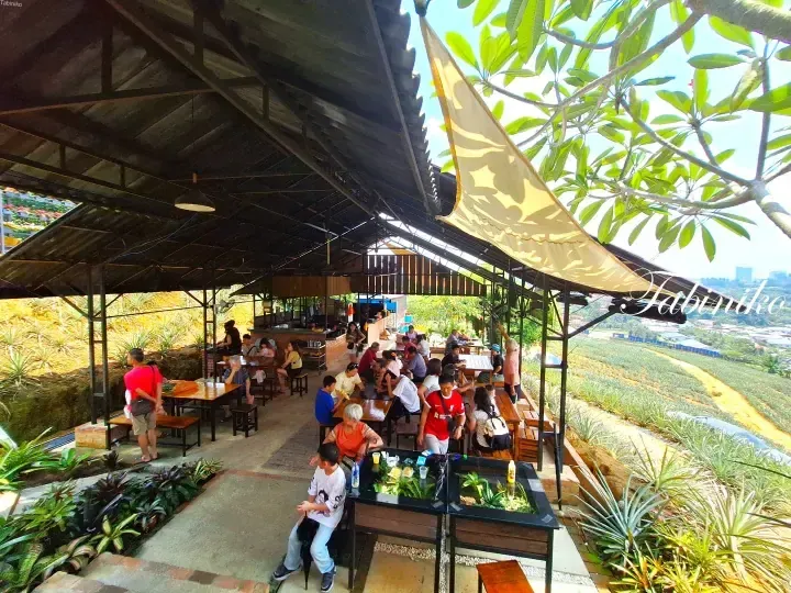 Outdoor dining area at a hilltop restaurant with guests enjoying meals overlooking pineapple fields and a scenic view.