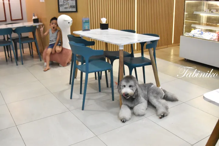 モダンなカフェでテーブルの下でくつろぐオールドイングリッシュシープドッグとアルパカぬいぐるみを持つ子供。