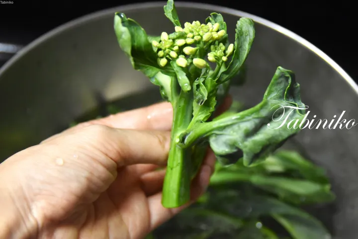 鍋の上で花蕾を持つ新鮮な緑の野菜を手に持つ様子。