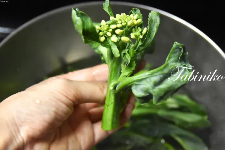 手持新鮮帶花蕾的綠色蔬菜,背景為烹飪鍋。