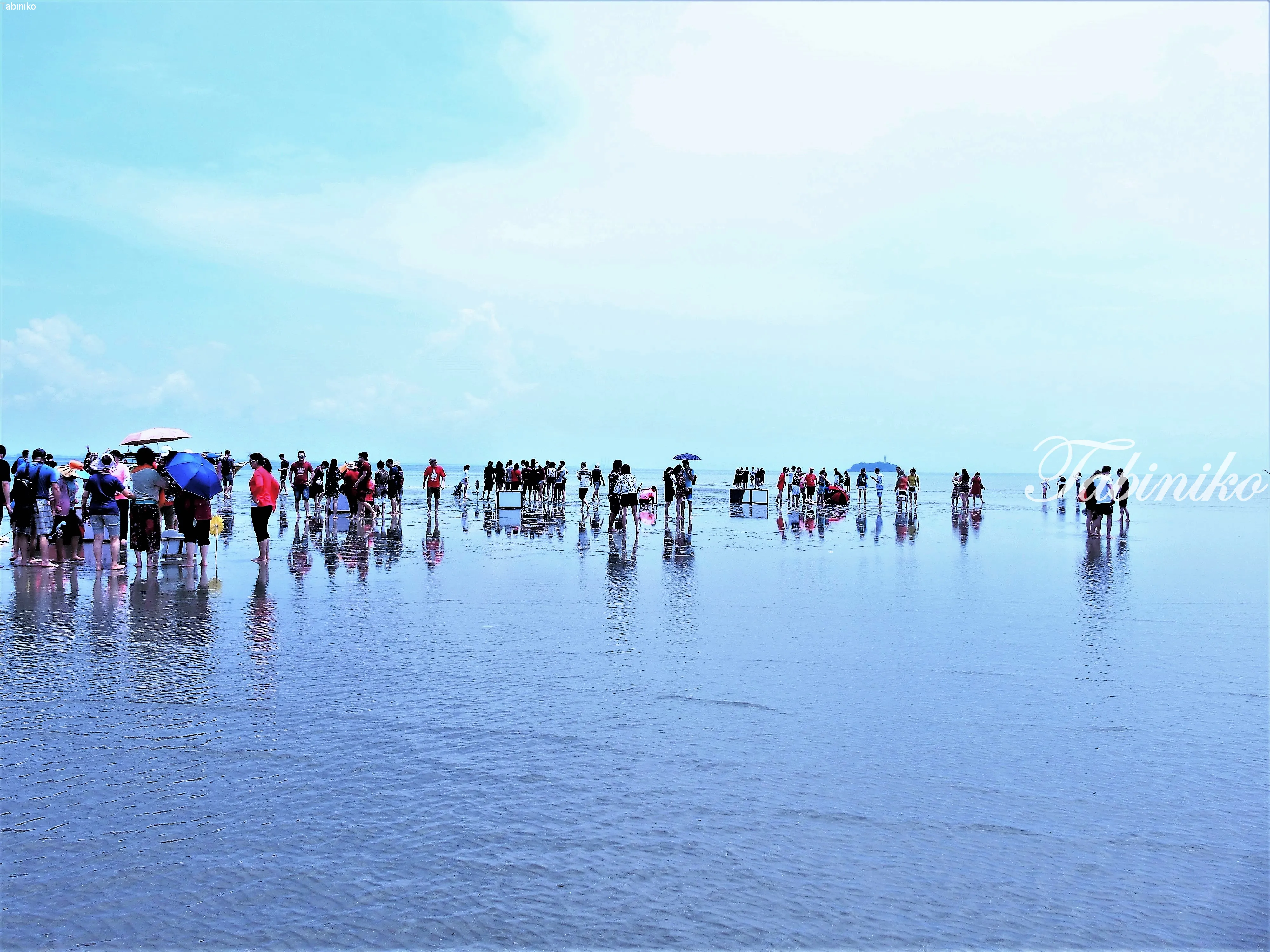 Image 11 Image 11